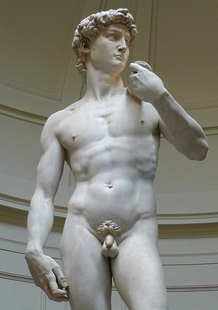 'David'_by_Michelangelo_JBU01